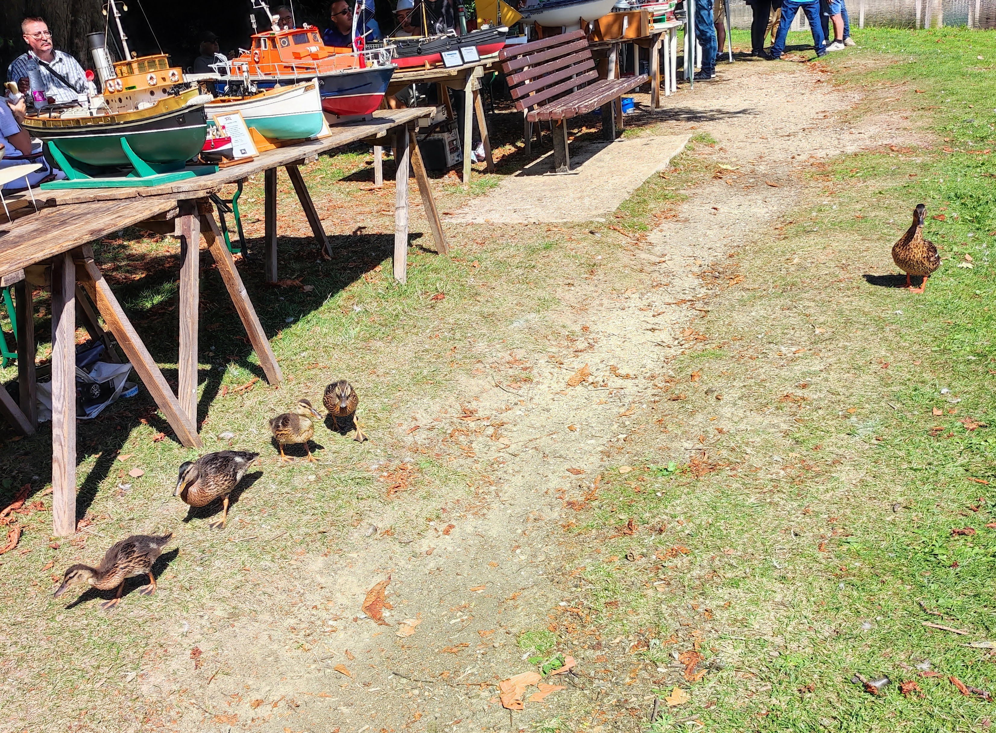 Img 20220904 125323a